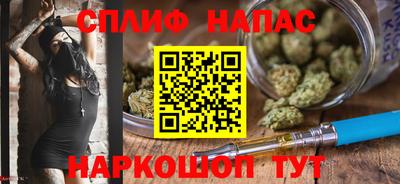 mdpv Гатчина