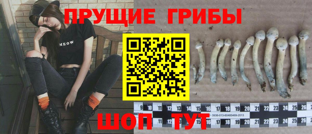 Норильск  Псилоцибиновые грибы ЛСД  цены   Вход с VPN 