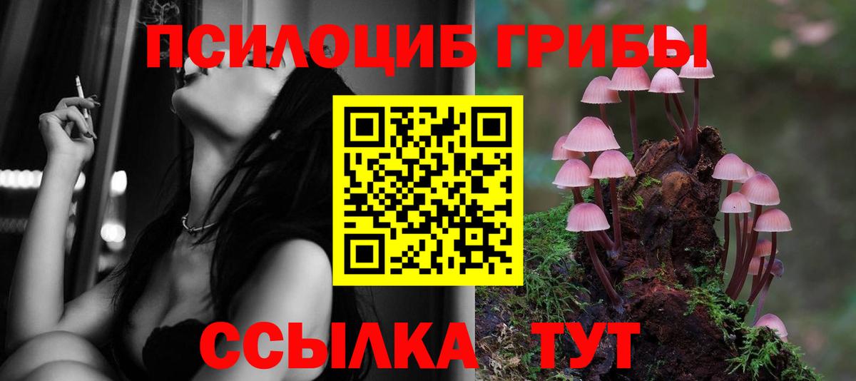 Галлюциногенные грибы прущие грибы Норильск